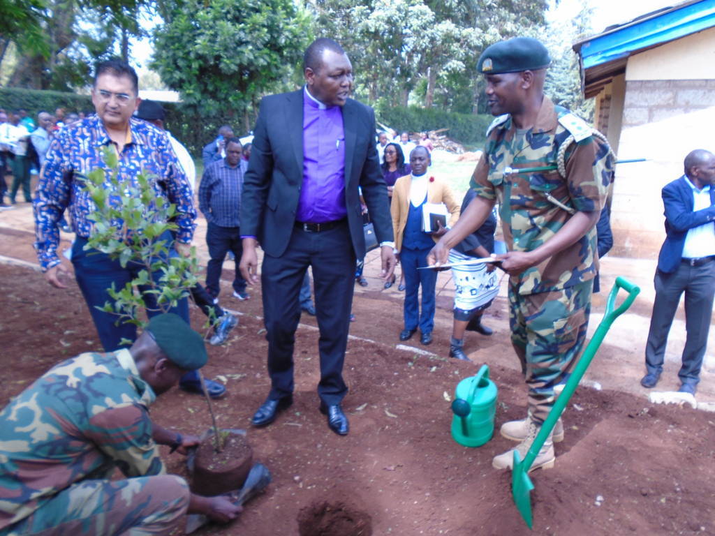 Tree planting 